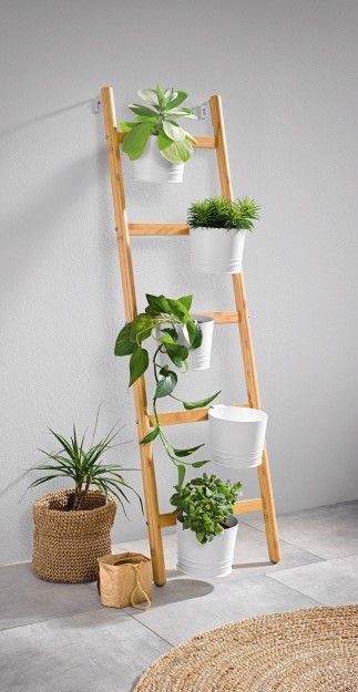 Wood Ladder Plant Stand