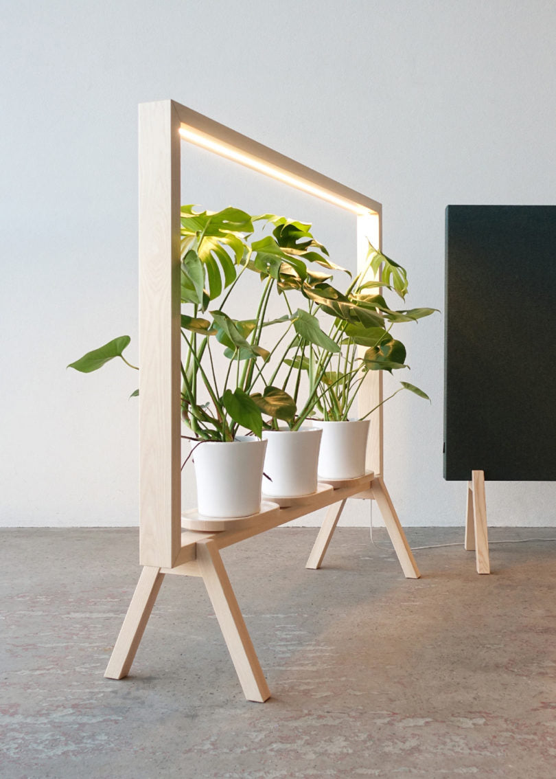 Rectangle Grow Plant Stand With LED Grow Lights